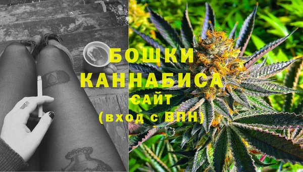 прущие крисы Киренск