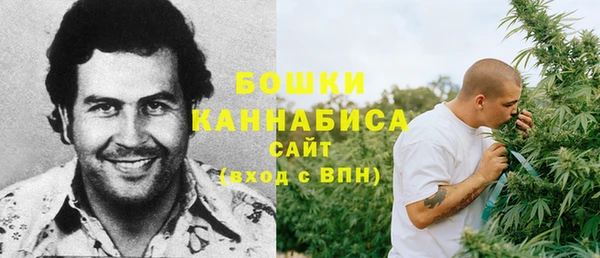 прущие крисы Киренск