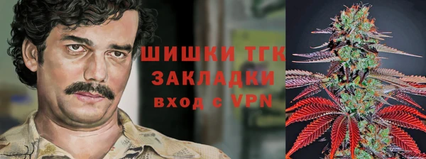 прущие крисы Киренск
